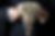AdobeStock_96316250.jpeg